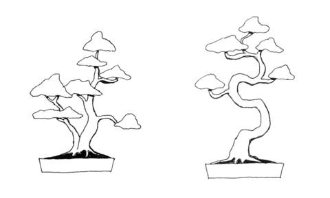 Bonsai Double Trunk Style, Bonsai Coiled Style Coloring Page